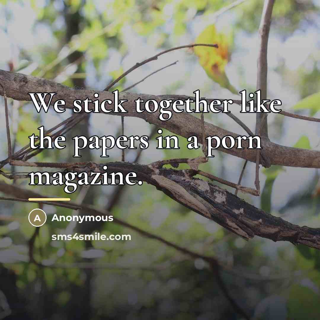 “We stick together like the papers in a porn magazine.…” quote by Anonymous