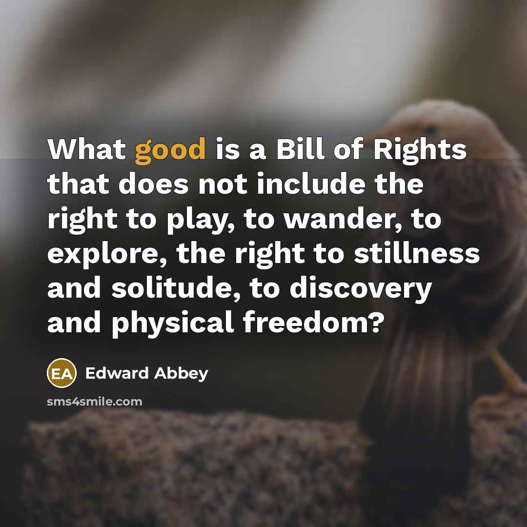 “What good is a Bill of Rights that does not…” quote by Edward Abbey