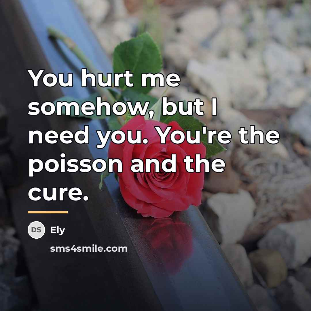 “You hurt me somehow, but I need you. You're the…” quote by Ely