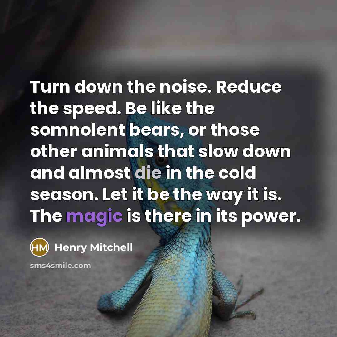 “Turn down the noise. Reduce the speed. Be like the…” quote by Henry Mitchell