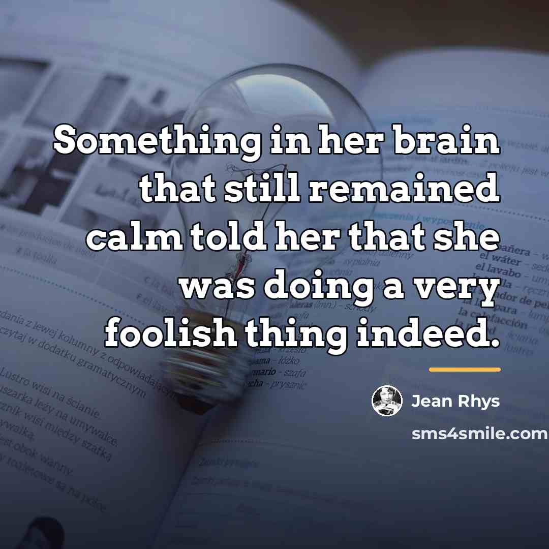 “Something in her brain that still remained calm told her…” quote by Jean Rhys