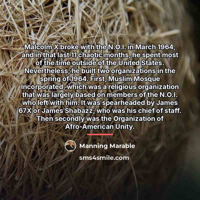 “Malcolm X broke with the N.O.I. in March 1964, and…” quote by Manning Marable