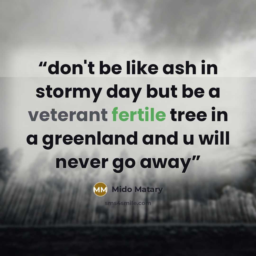“don't be like ash in stormy day but be a veterant fertile tree in a greenland and u will never go away” quote by Mido Matary