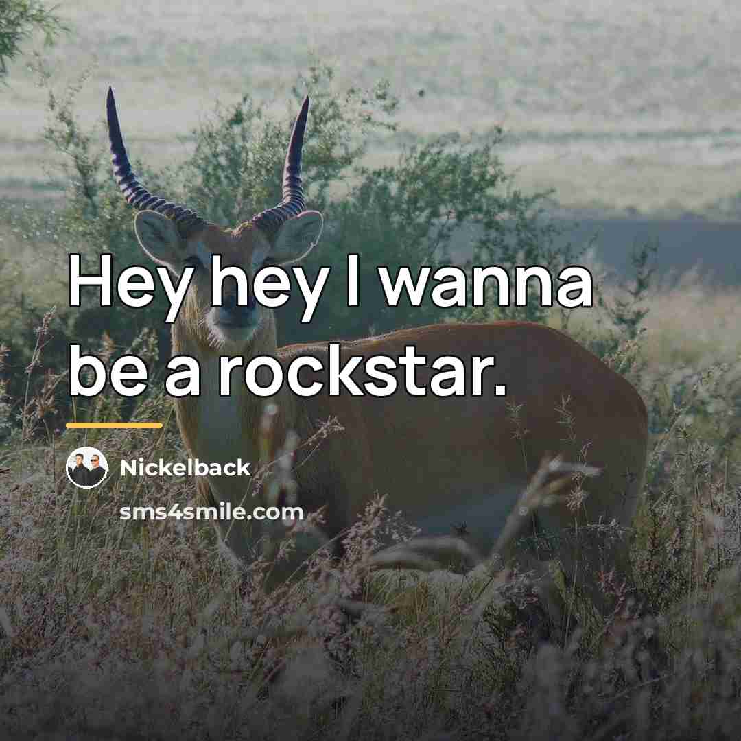 “Hey hey I wanna be a rockstar.…” quote by Nickelback