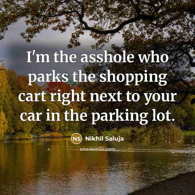 “I'm the asshole who parks the shopping cart right next…” quote by Nikhil Saluja
