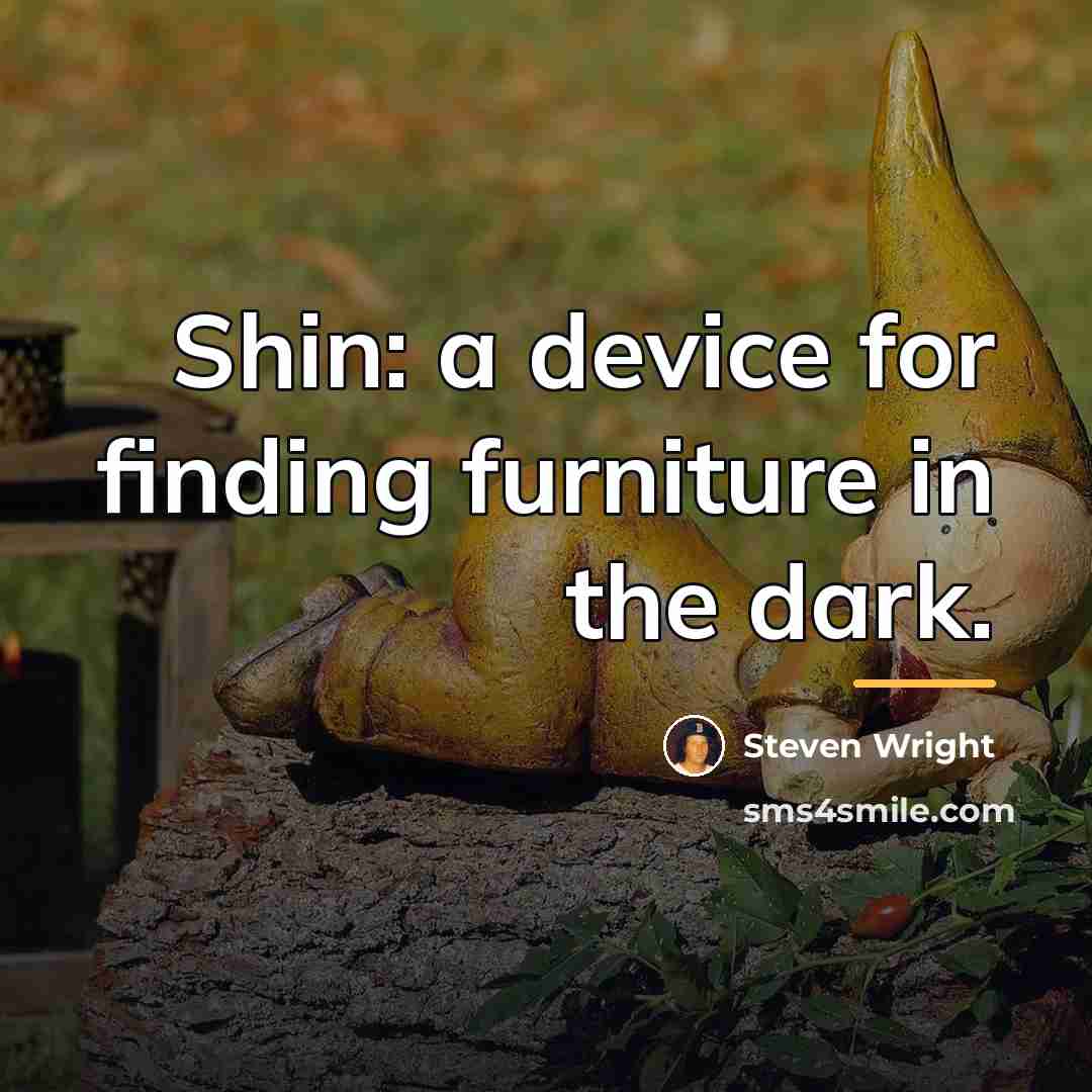 “Shin: a device for finding furniture in the dark.…” quote by Steven Wright
