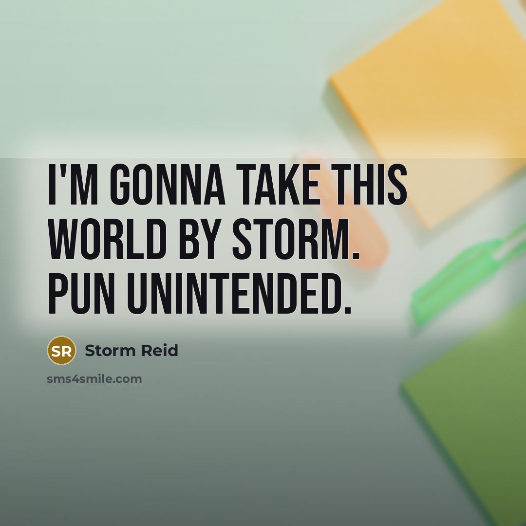 “I'm gonna take this world by storm. Pun unintended.…” quote by Storm Reid