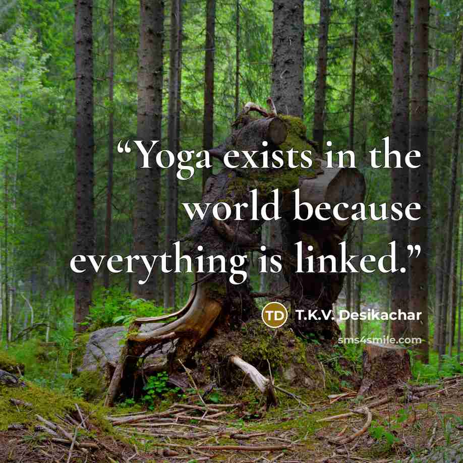 “Yoga exists in the world because everything is linked.” quote by T.K.V. Desikachar