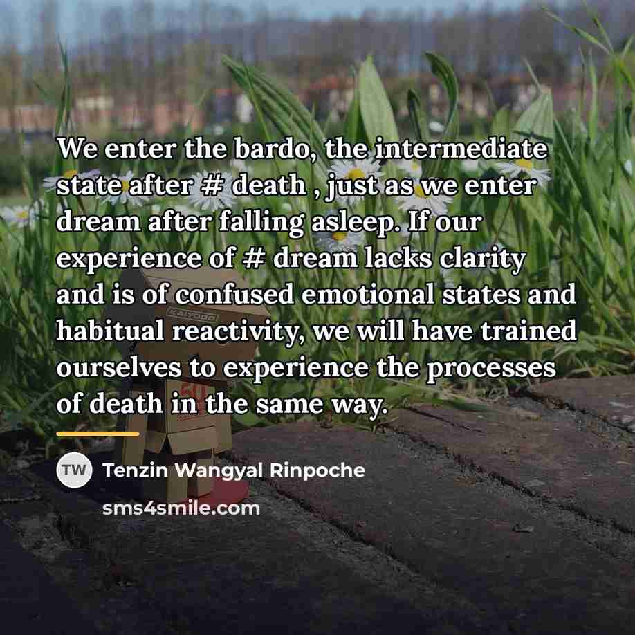 “We enter the bardo, the intermediate state after # death…” quote by Tenzin Wangyal Rinpoche