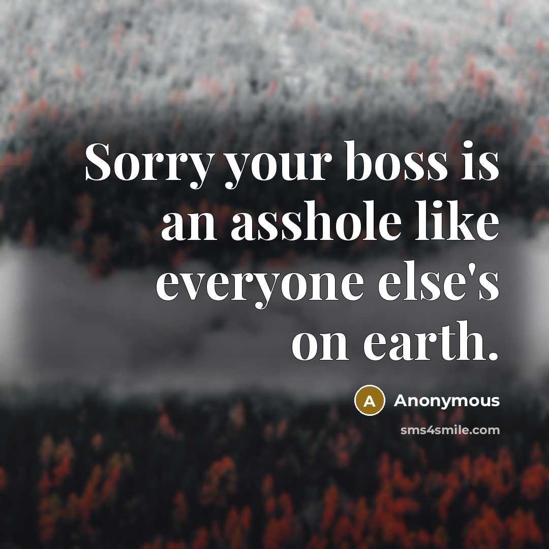 “Sorry your boss is an asshole like everyone else's on earth.” quote by Anonymous