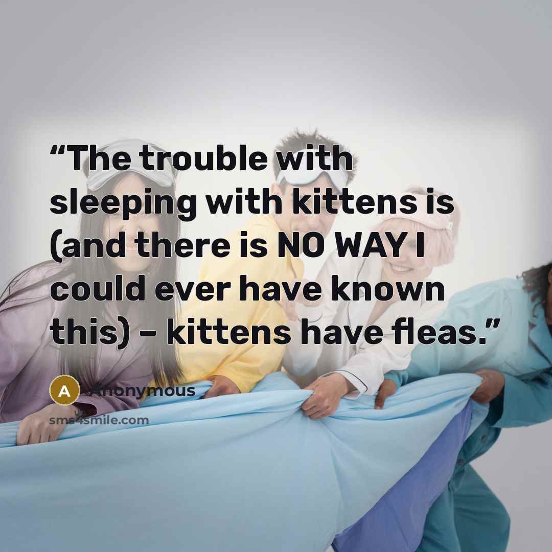 “The trouble with sleeping with kittens is (and there is NO WAY I could ever have known this) – kittens have fleas.” quote by Anonymous