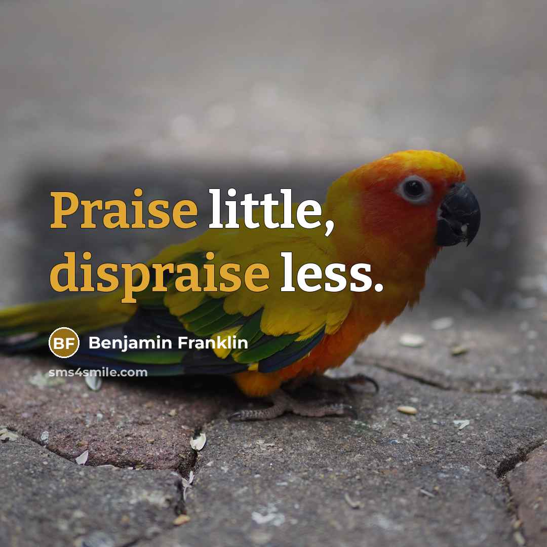 “Praise little, dispraise less.” quote by Benjamin Franklin