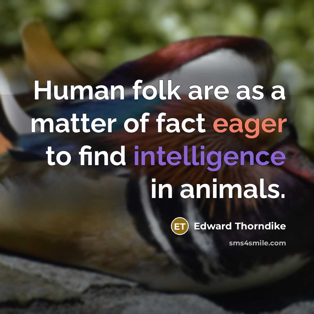 “Human folk are as a matter of fact eager to find intelligence in animals.” quote by Edward Thorndike