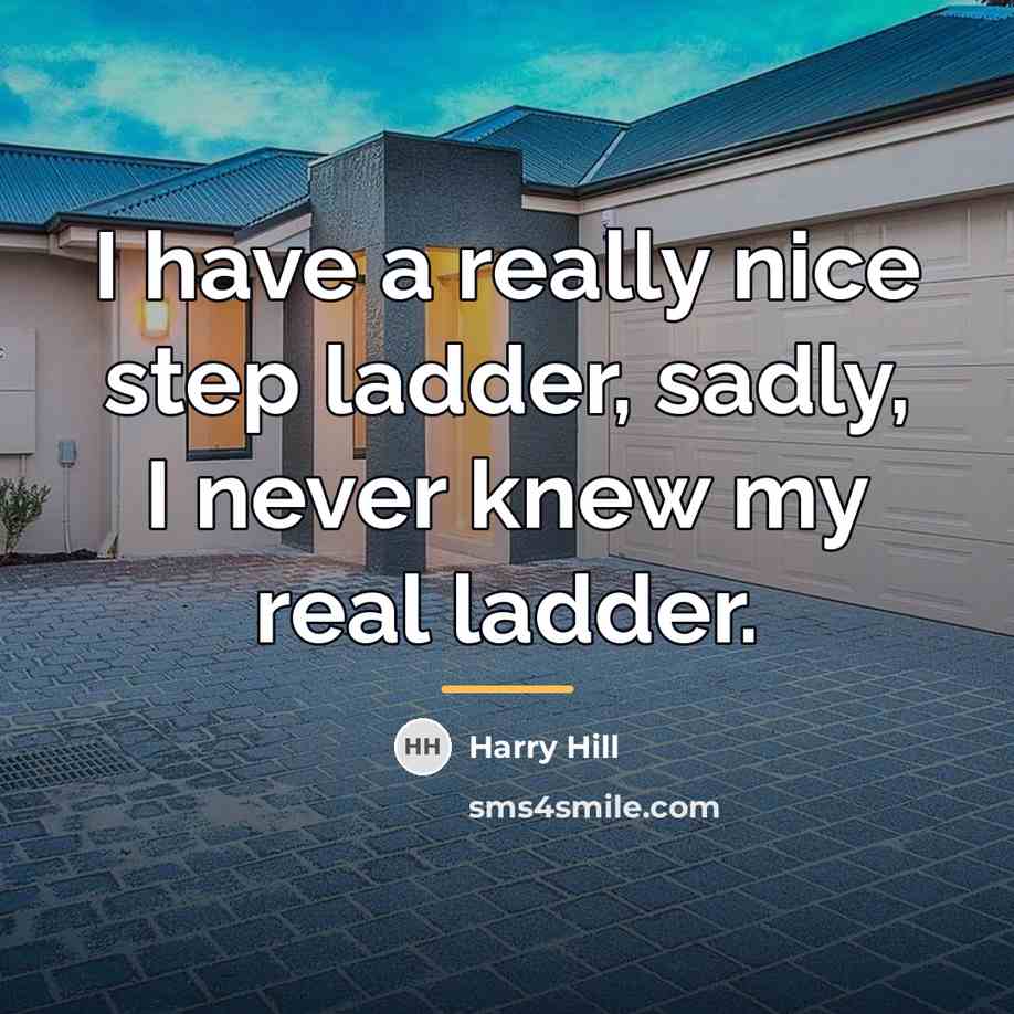 “I have a really nice step ladder, sadly, I never…” quote by Harry Hill