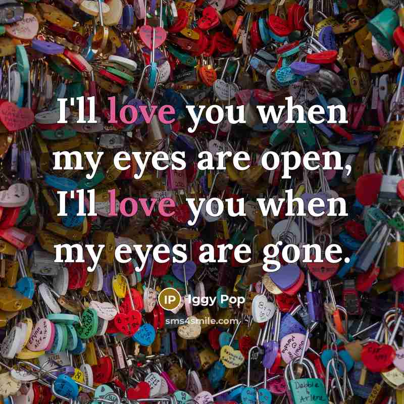 “I'll love you when my eyes are open, I'll love…” quote by Iggy Pop