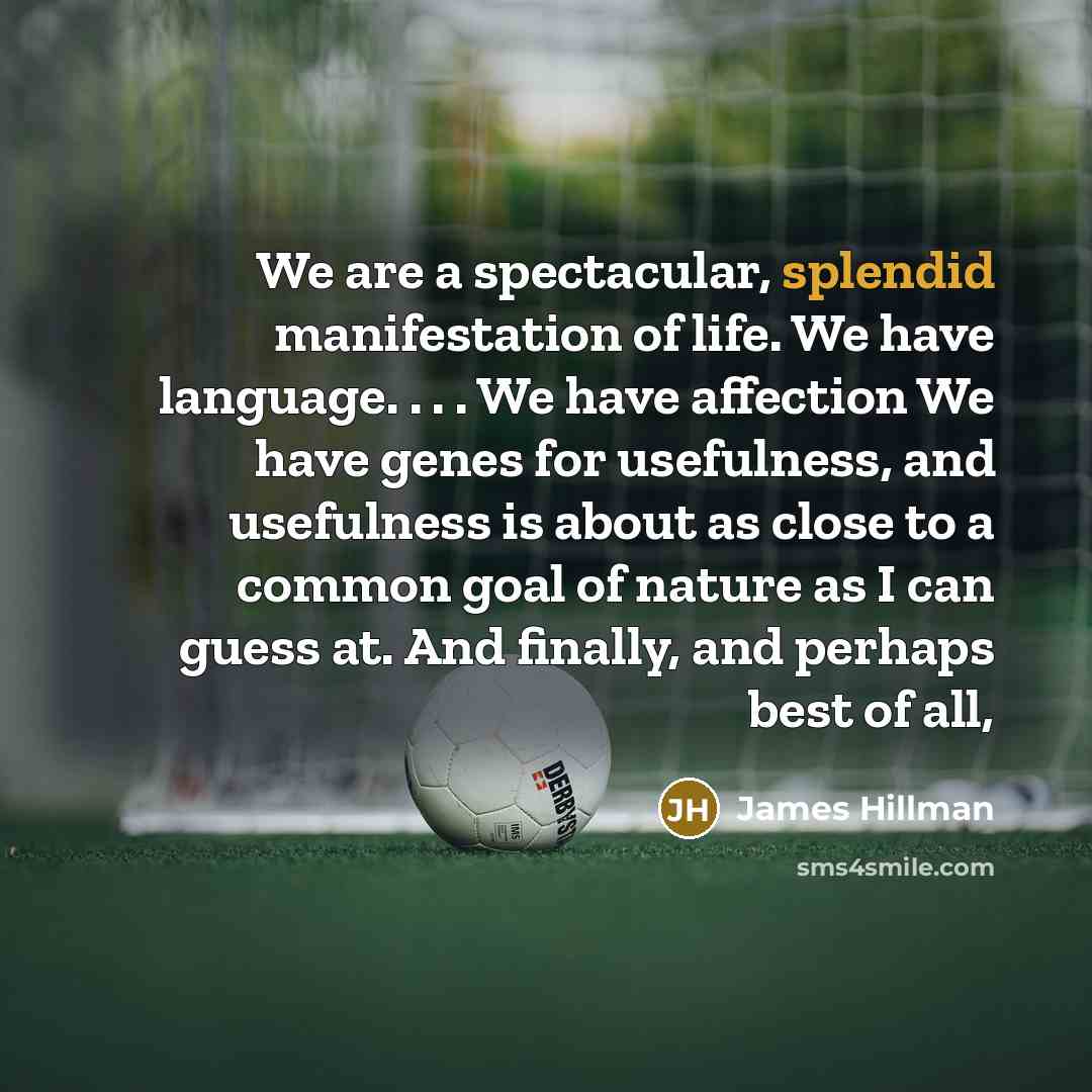 “We are a spectacular, splendid manifestation of life. We have…” quote by James Hillman