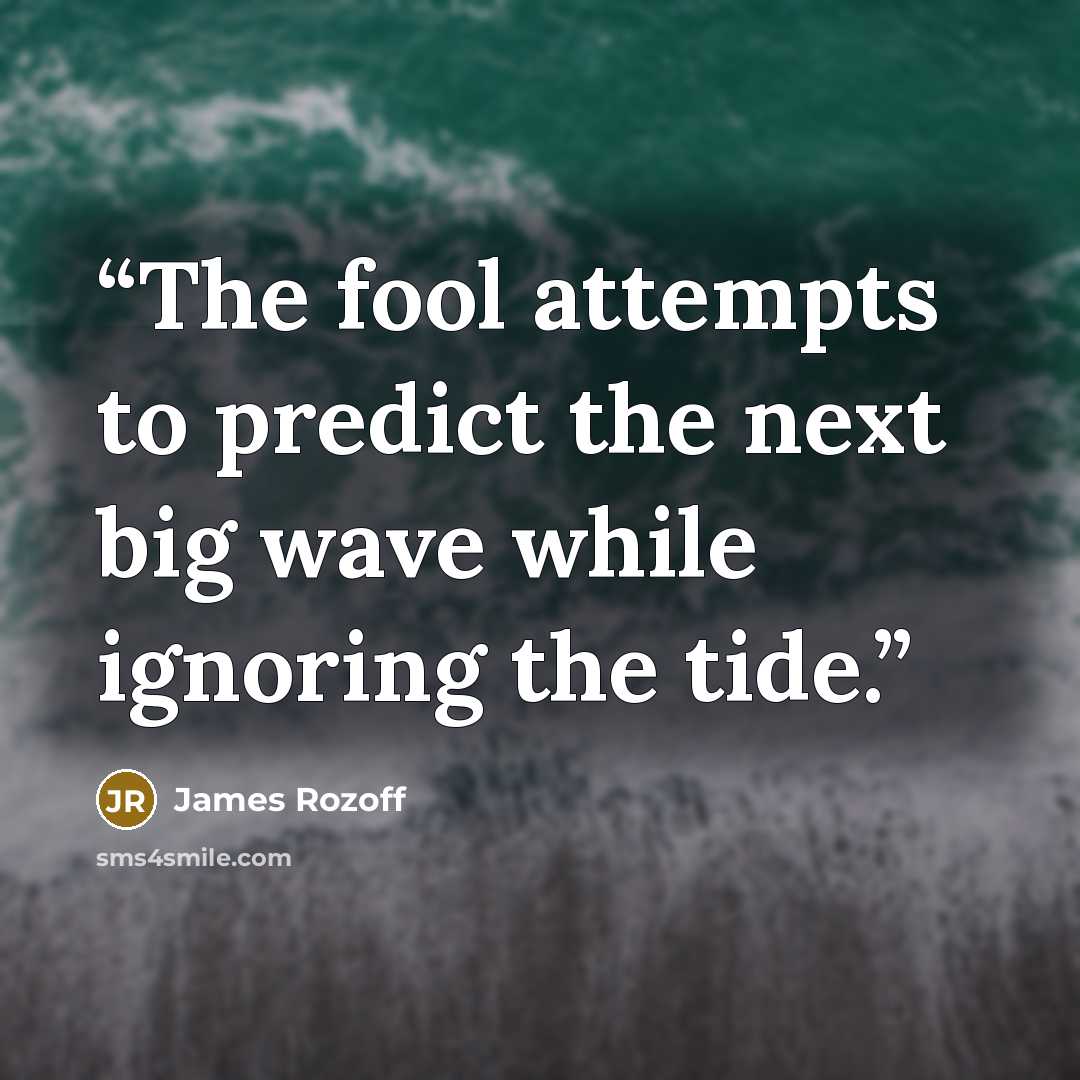 “The fool attempts to predict the next big wave while ignoring the tide.” quote by James Rozoff