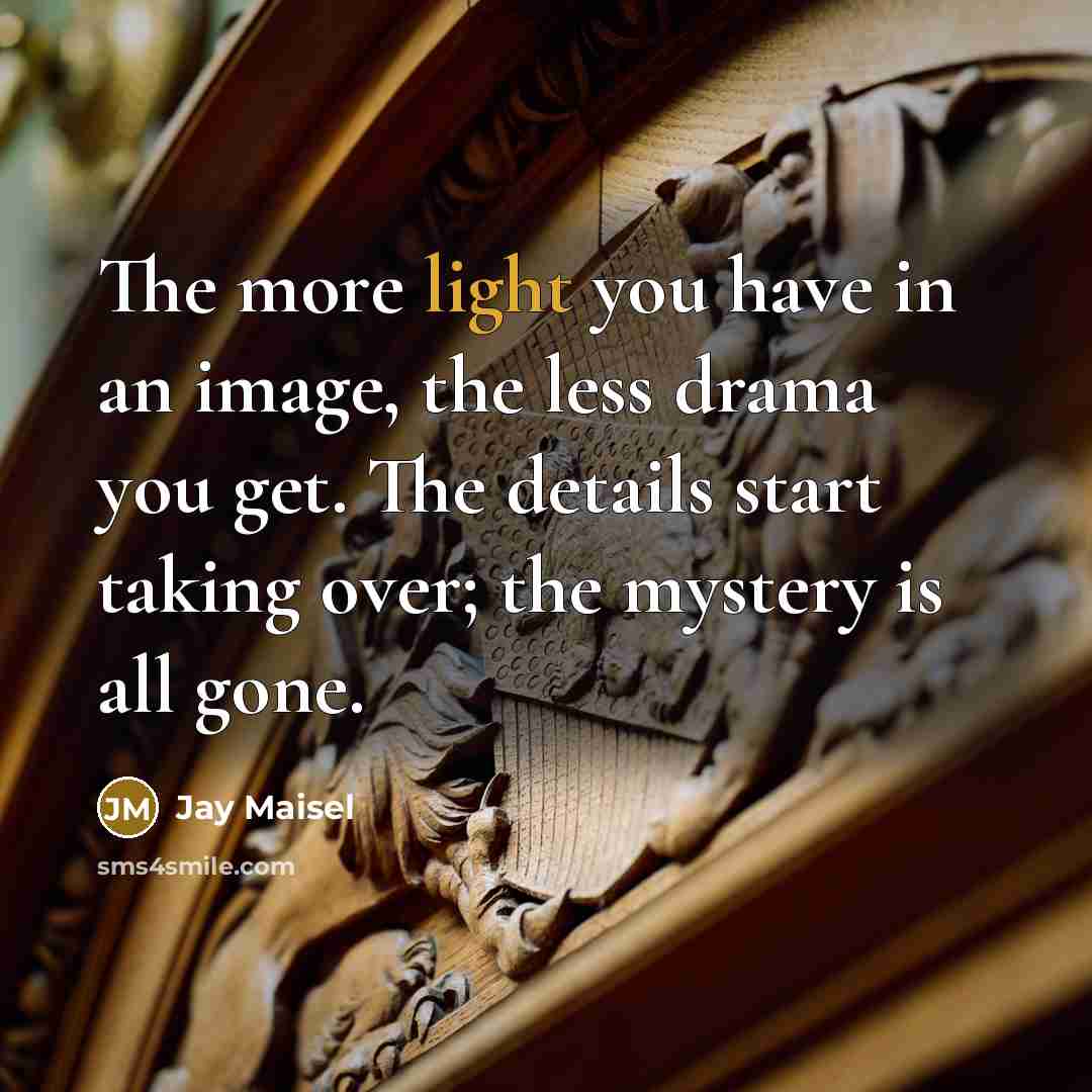 “The more light you have in an image, the less…” quote by Jay Maisel