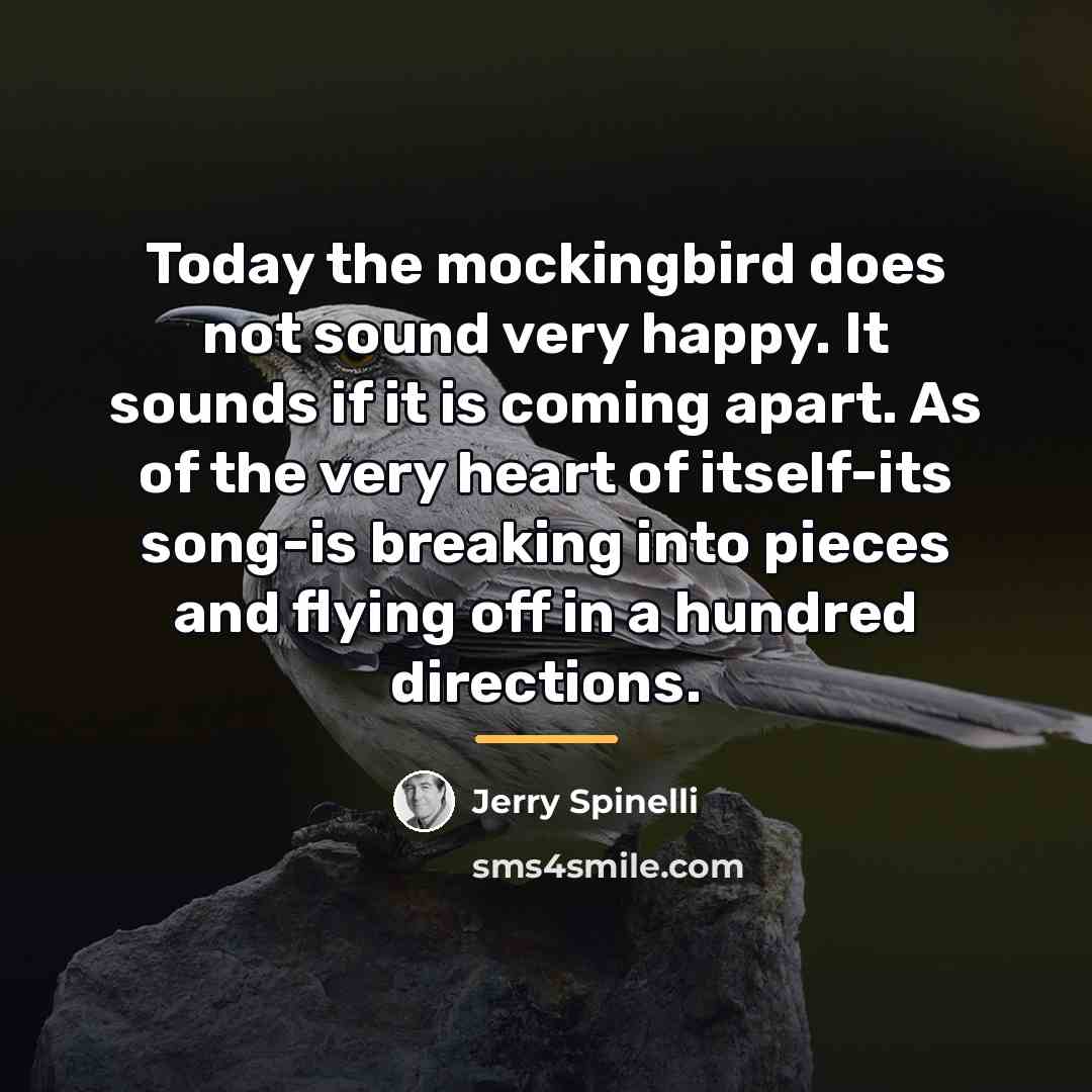 “Today the mockingbird does not sound very happy. It sounds…” quote by Jerry Spinelli