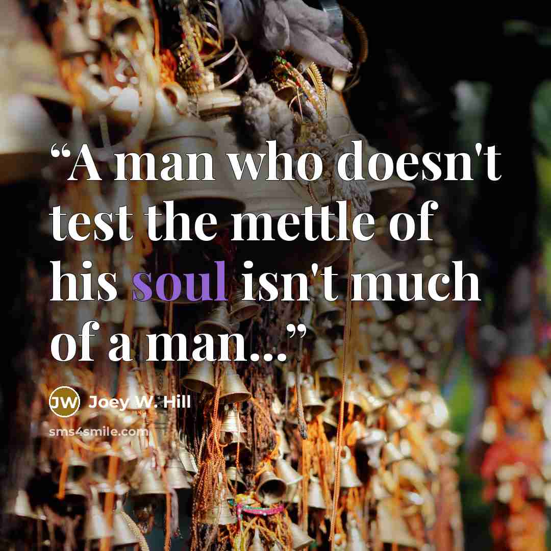 “A man who doesn't test the mettle of his soul isn't much of a man...” quote by Joey W. Hill