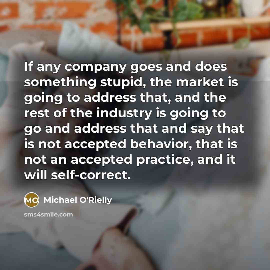 “If any company goes and does something stupid, the market…” quote by Michael O'Rielly