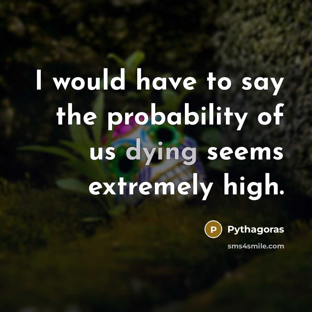 “I would have to say the probability of us dying…” quote by Pythagoras