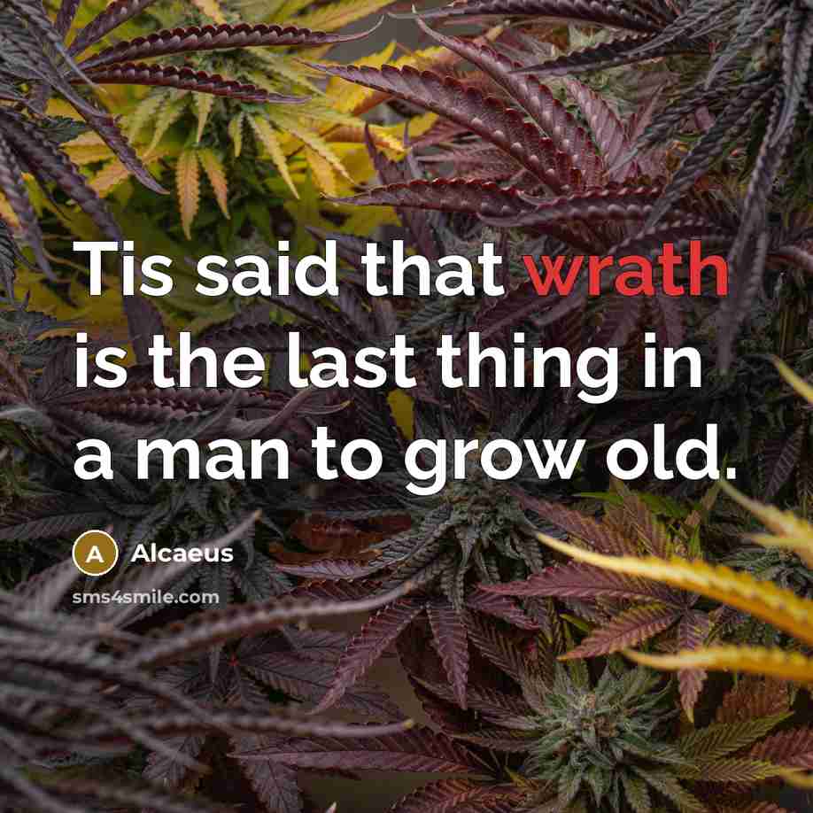 “Tis said that wrath is the last thing in a…” quote by Alcaeus