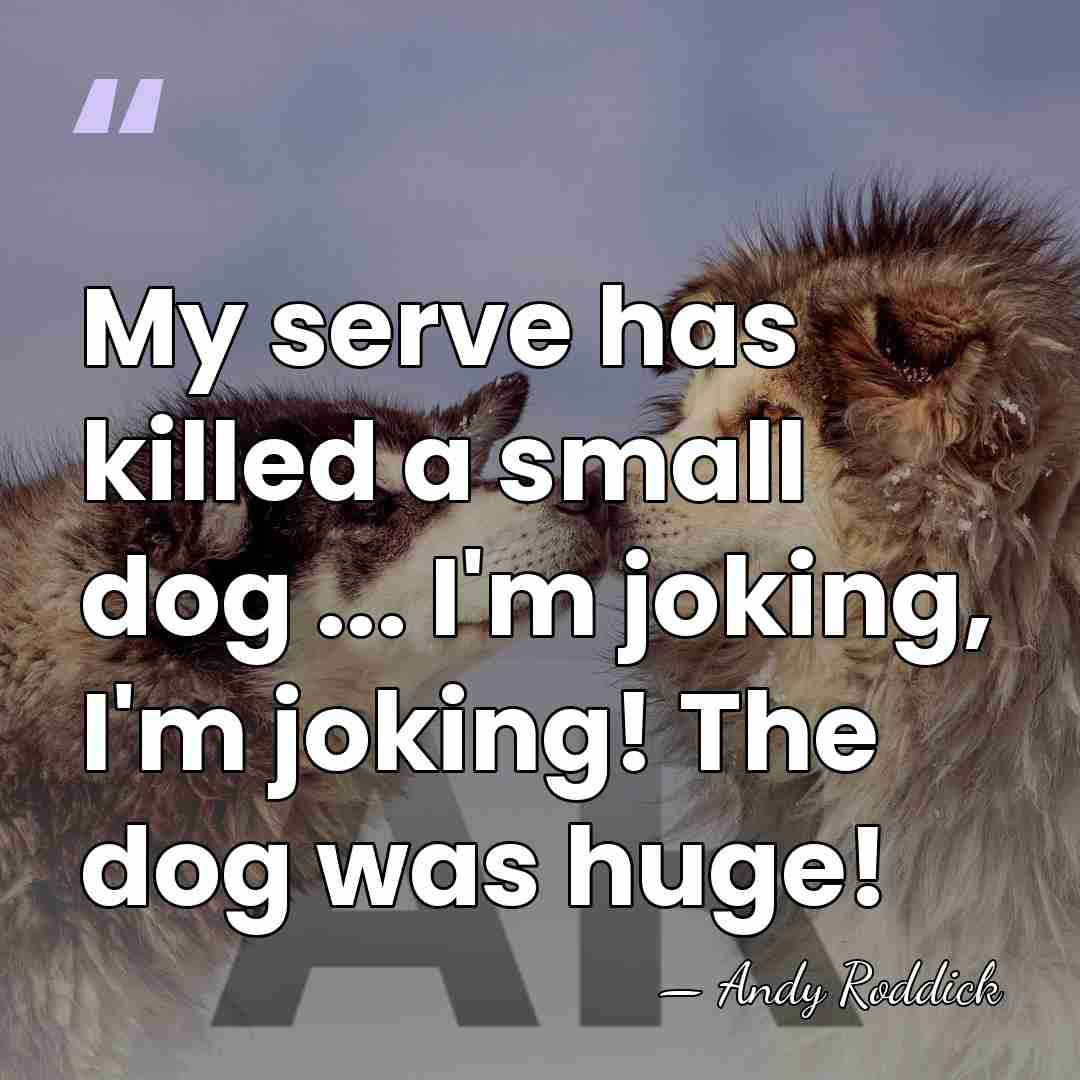 My serve has killed a small dog ... I'm joking, I'm joking!&hellip; - Andy Roddick