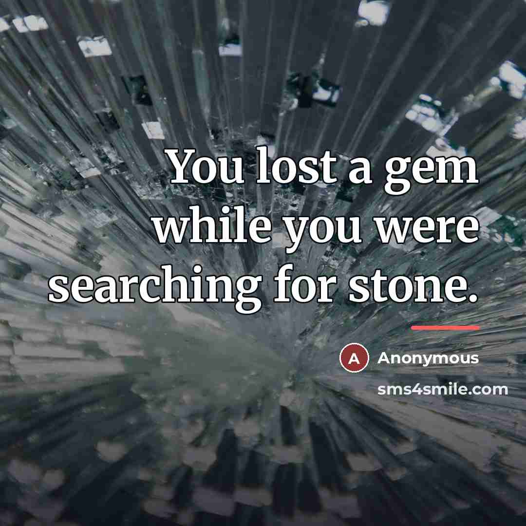 “You lost a gem while you were searching for stone.…” quote by Anonymous
