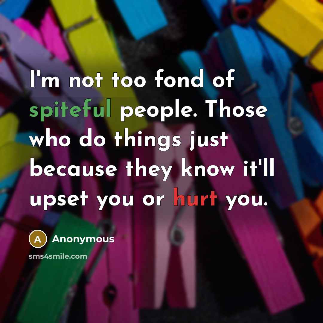 “I'm not too fond of spiteful people. Those who do things just because they know it'll upset you or hurt you.” quote by Anonymous