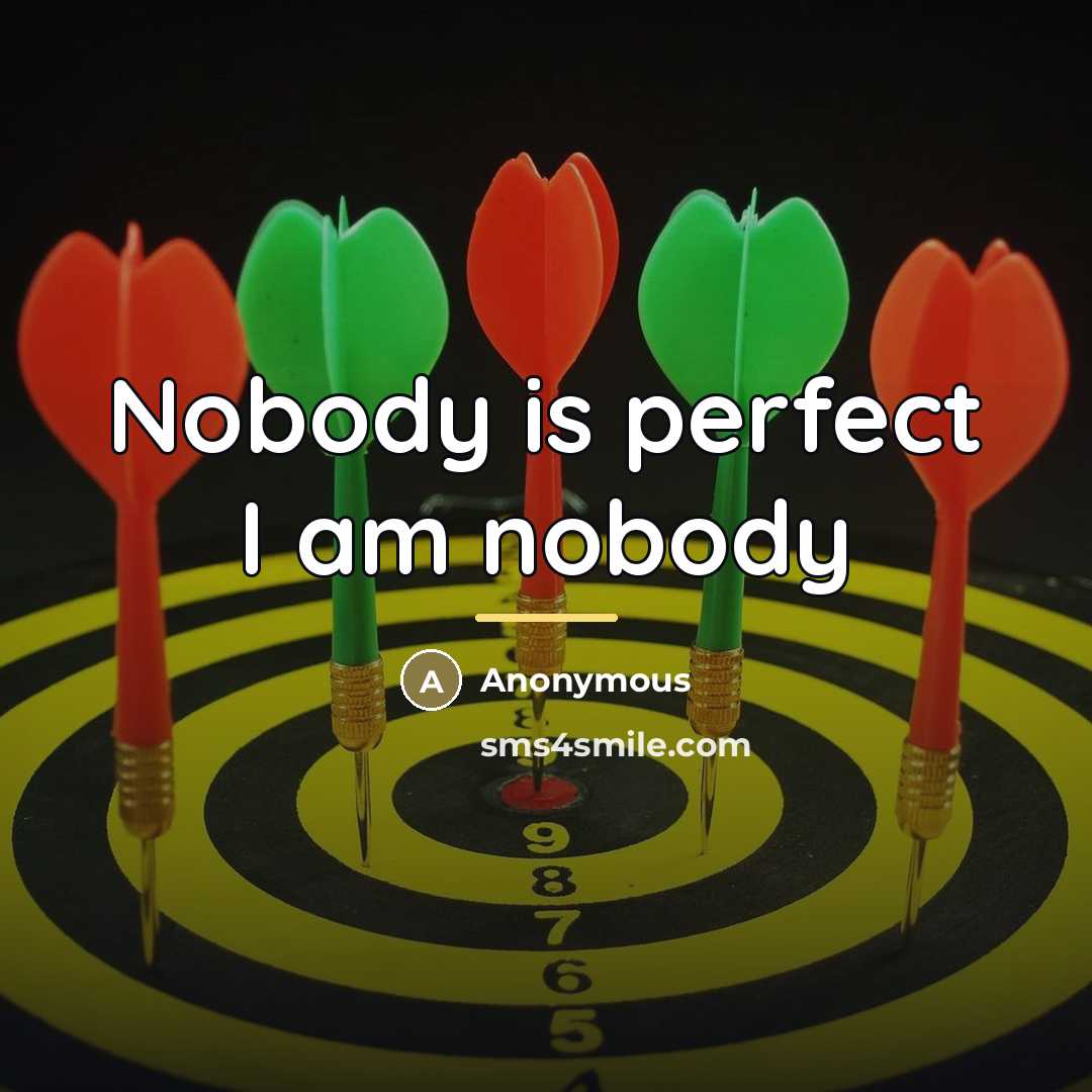 “Nobody is perfect I am nobody…” quote by Anonymous