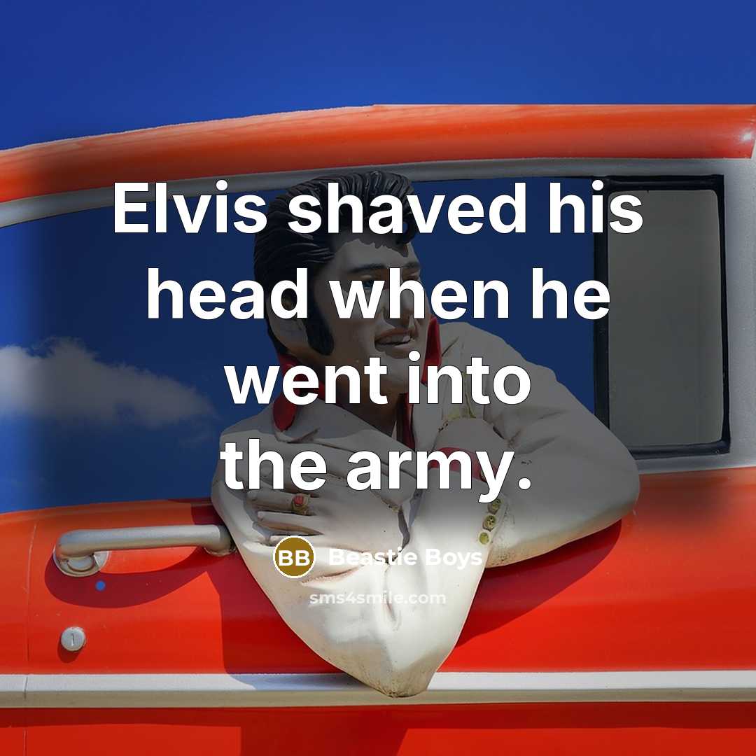“Elvis shaved his head when he went into the army.…” quote by Beastie Boys