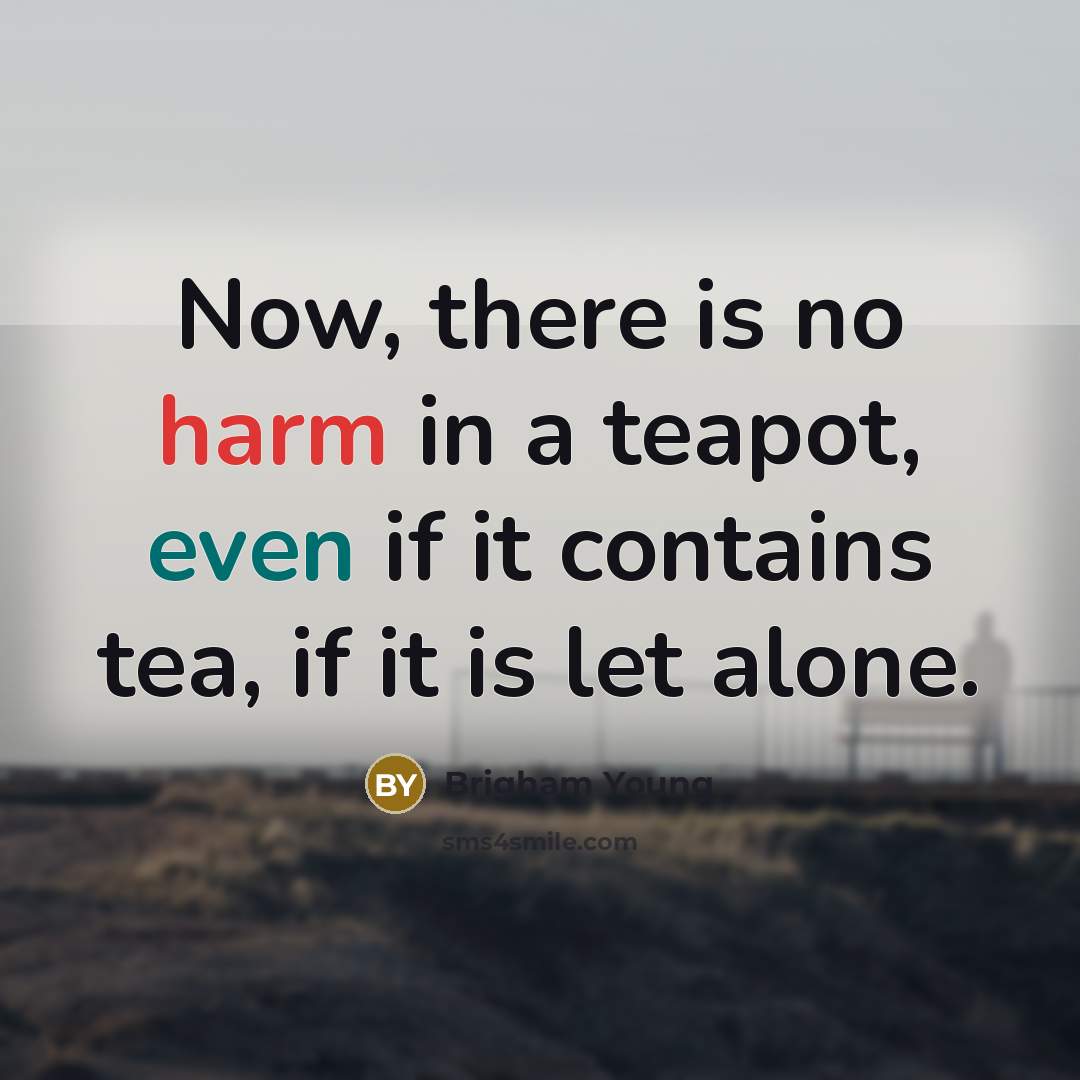 “Now, there is no harm in a teapot, even if it contains tea, if it is let alone.” quote by Brigham Young