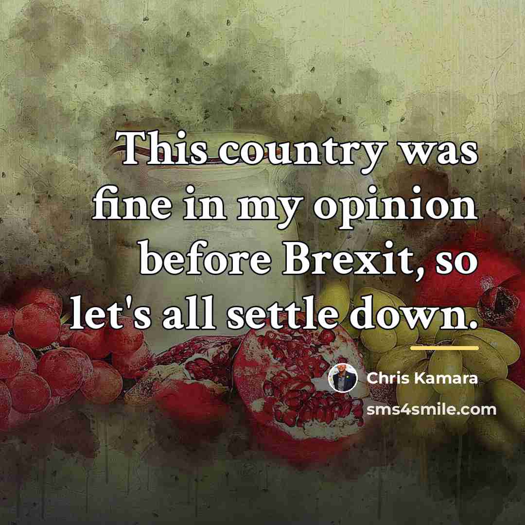 “This country was fine in my opinion before Brexit, so…” quote by Chris Kamara