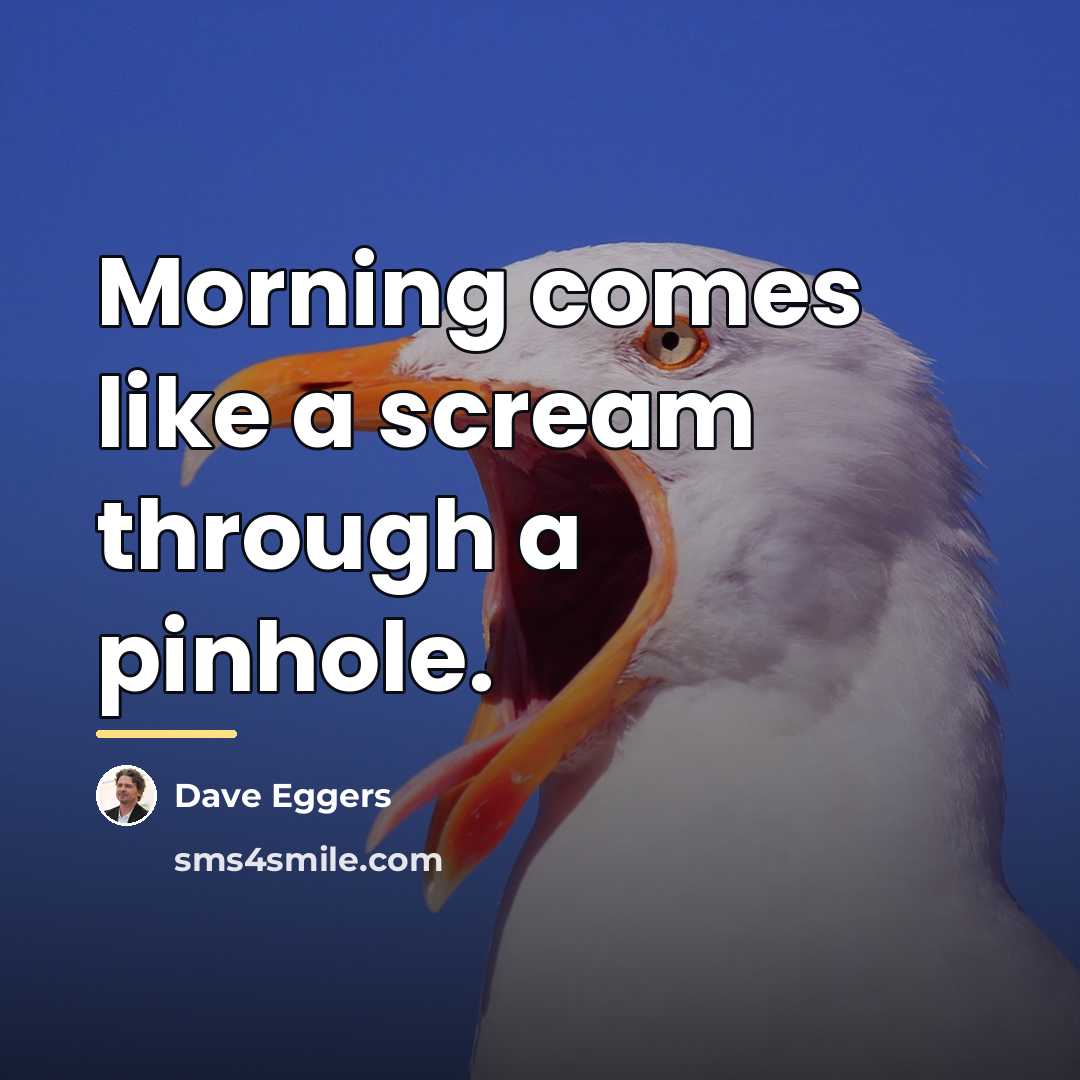 “Morning comes like a scream through a pinhole.…” quote by Dave Eggers