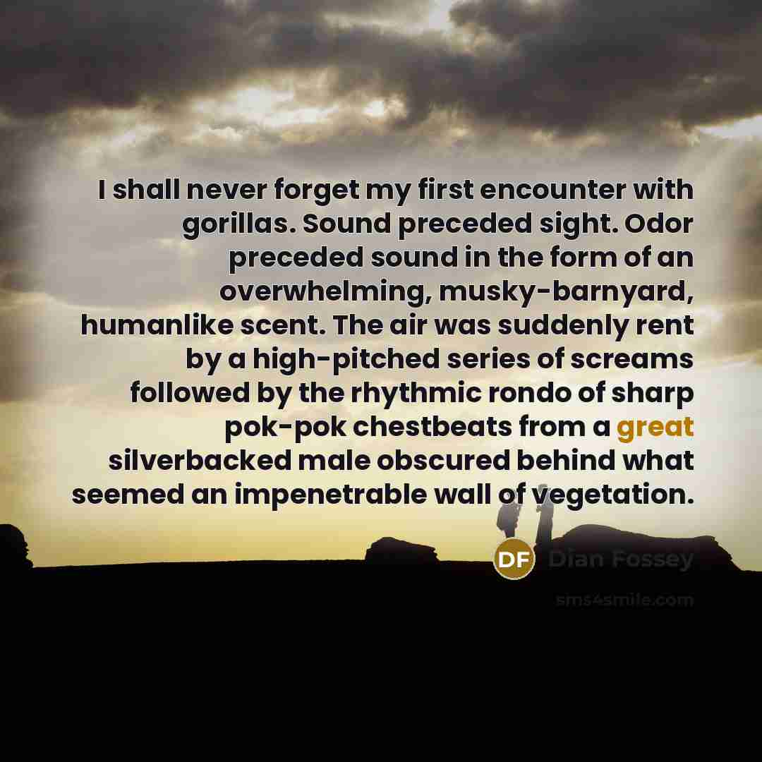 “I shall never forget my first encounter with gorillas. Sound…” quote by Dian Fossey