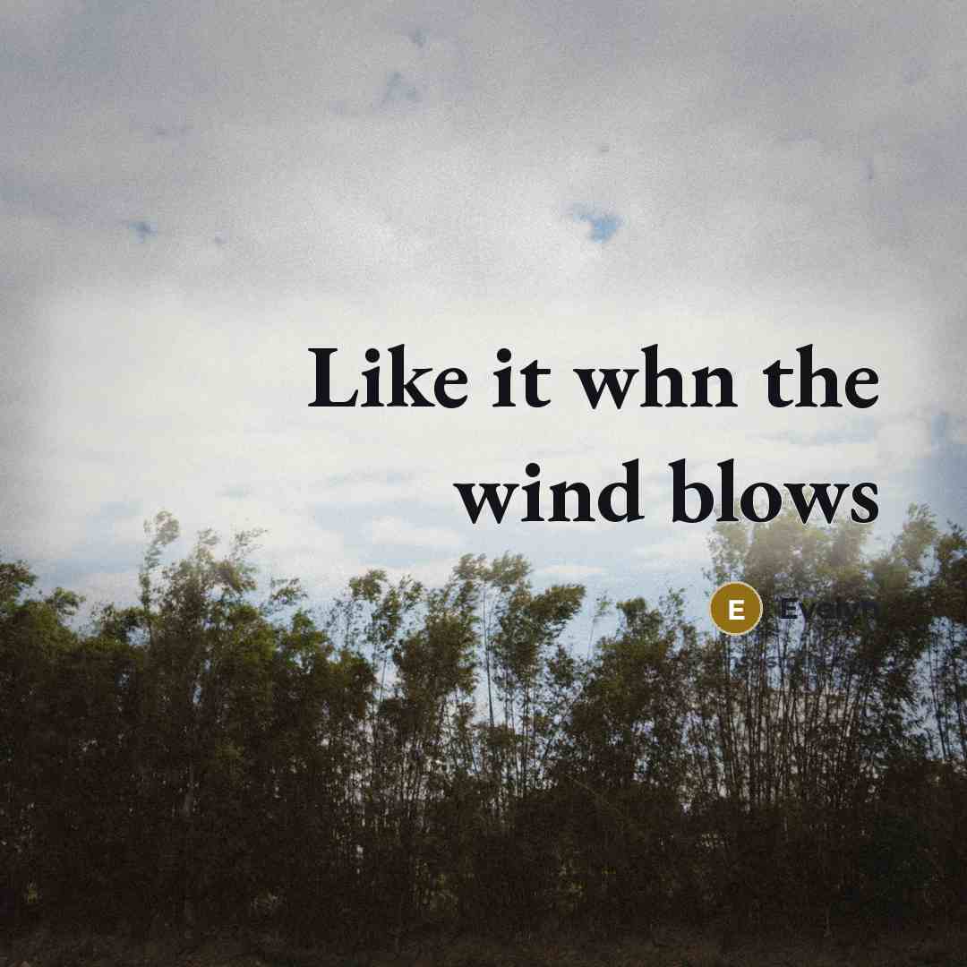 “Like it whn the wind blows” quote by Evelyn