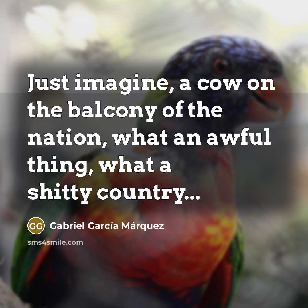 “Just imagine, a cow on the balcony of the nation, what an awful thing, what a shitty country...” quote by Gabriel Garcia Marquez