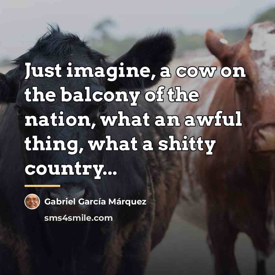 “Just imagine, a cow on the balcony of the nation,…” quote by Gabriel Garcia Marquez