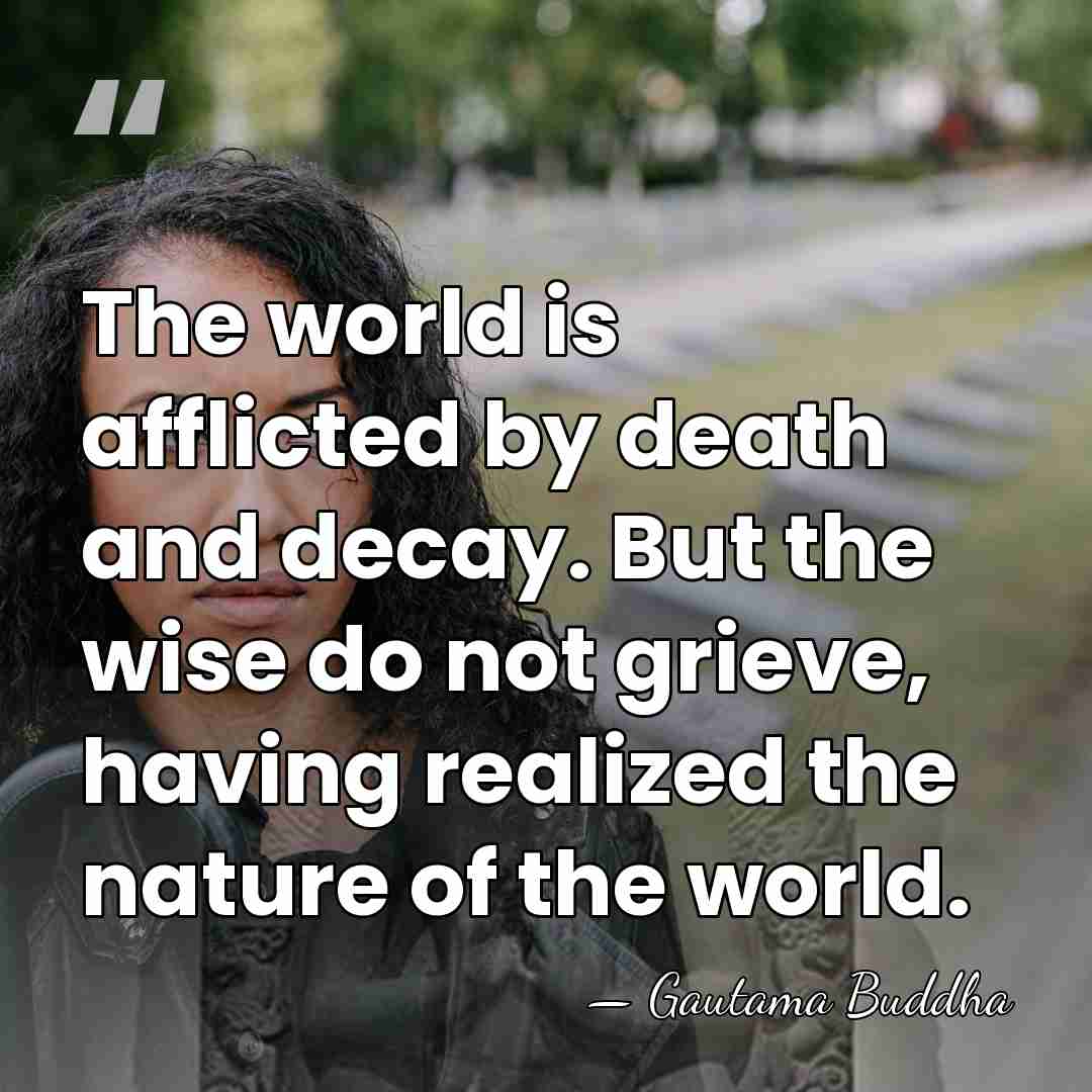 The world is afflicted by death and decay. But the wise do&hellip; - Gautama Buddha