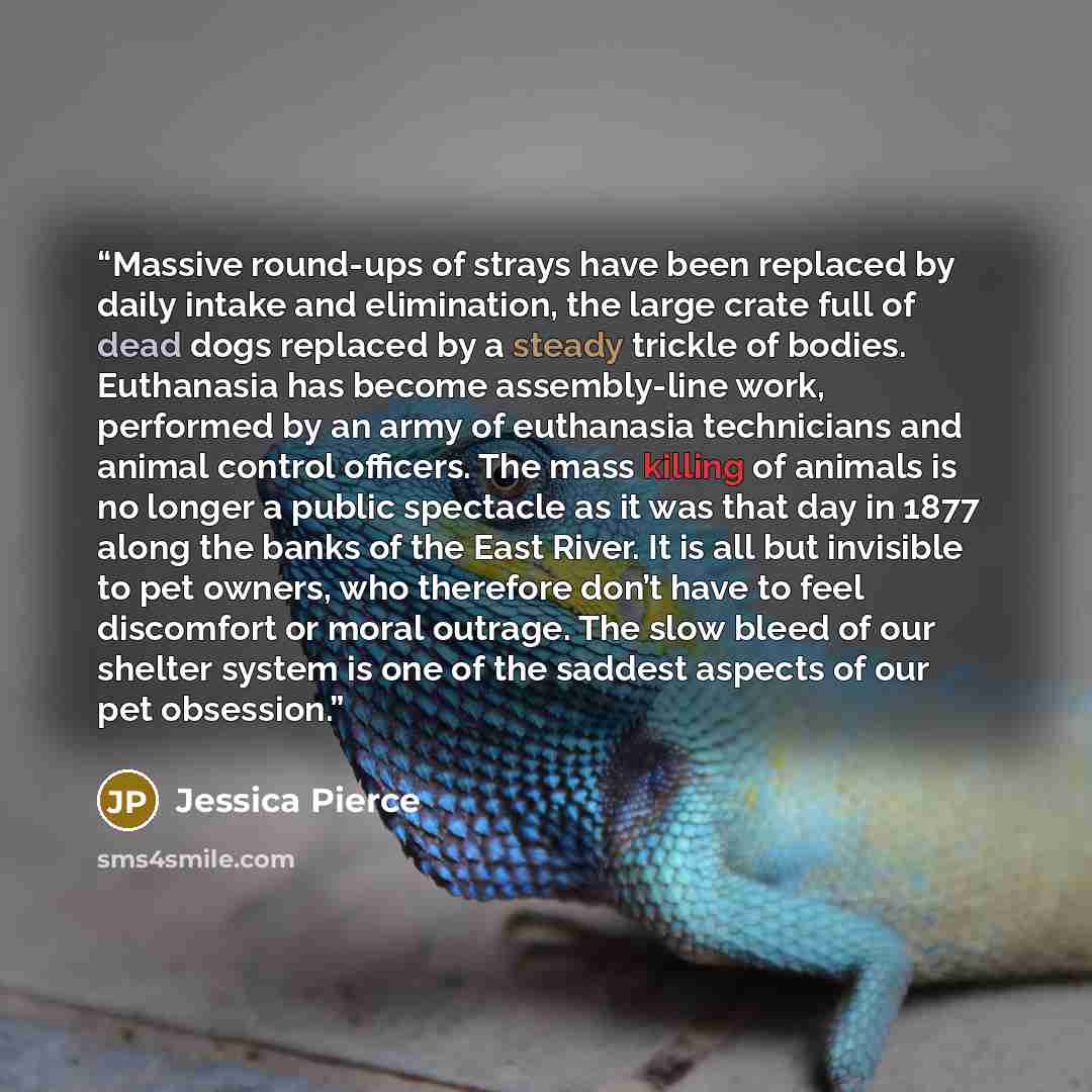 “Massive round-ups of strays have been replaced by daily intake and elimination, the large crate full of dead dogs replaced by a steady trickle of bodies. Euthanasia has become assembly-line work, performed by an army of euthanasia technicians and animal control officers. The mass killing of…” quote by Jessica Pierce