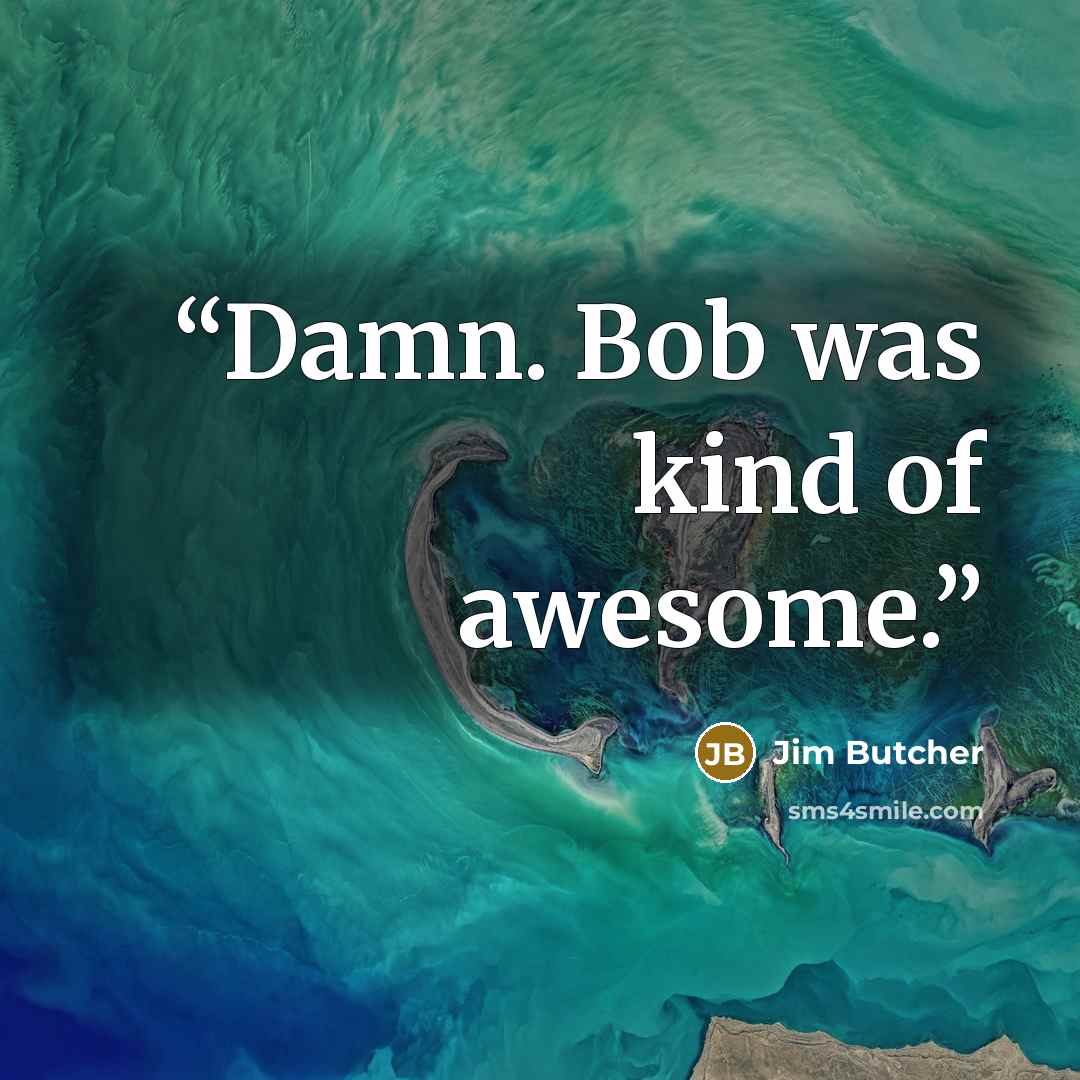 “Damn. Bob was kind of awesome.” quote by Jim Butcher
