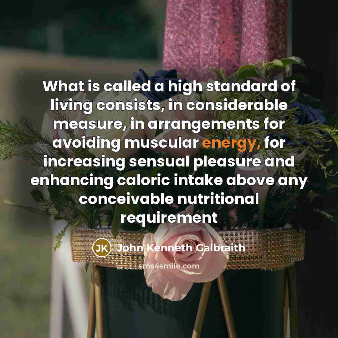 “What is called a high standard of living consists, in…” quote by John Kenneth Galbraith