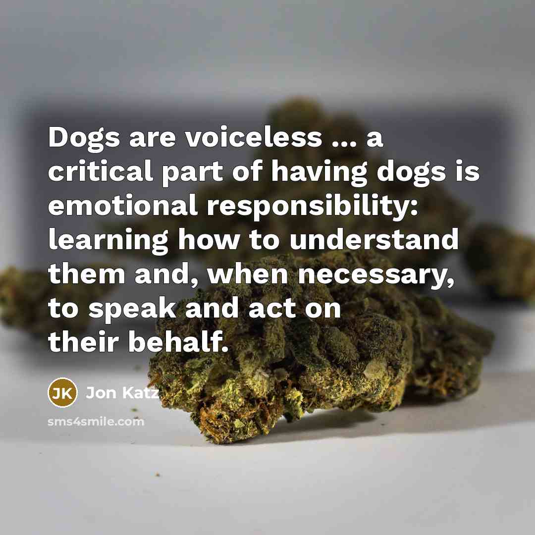“Dogs are voiceless ... a critical part of having dogs…” quote by Jon Katz