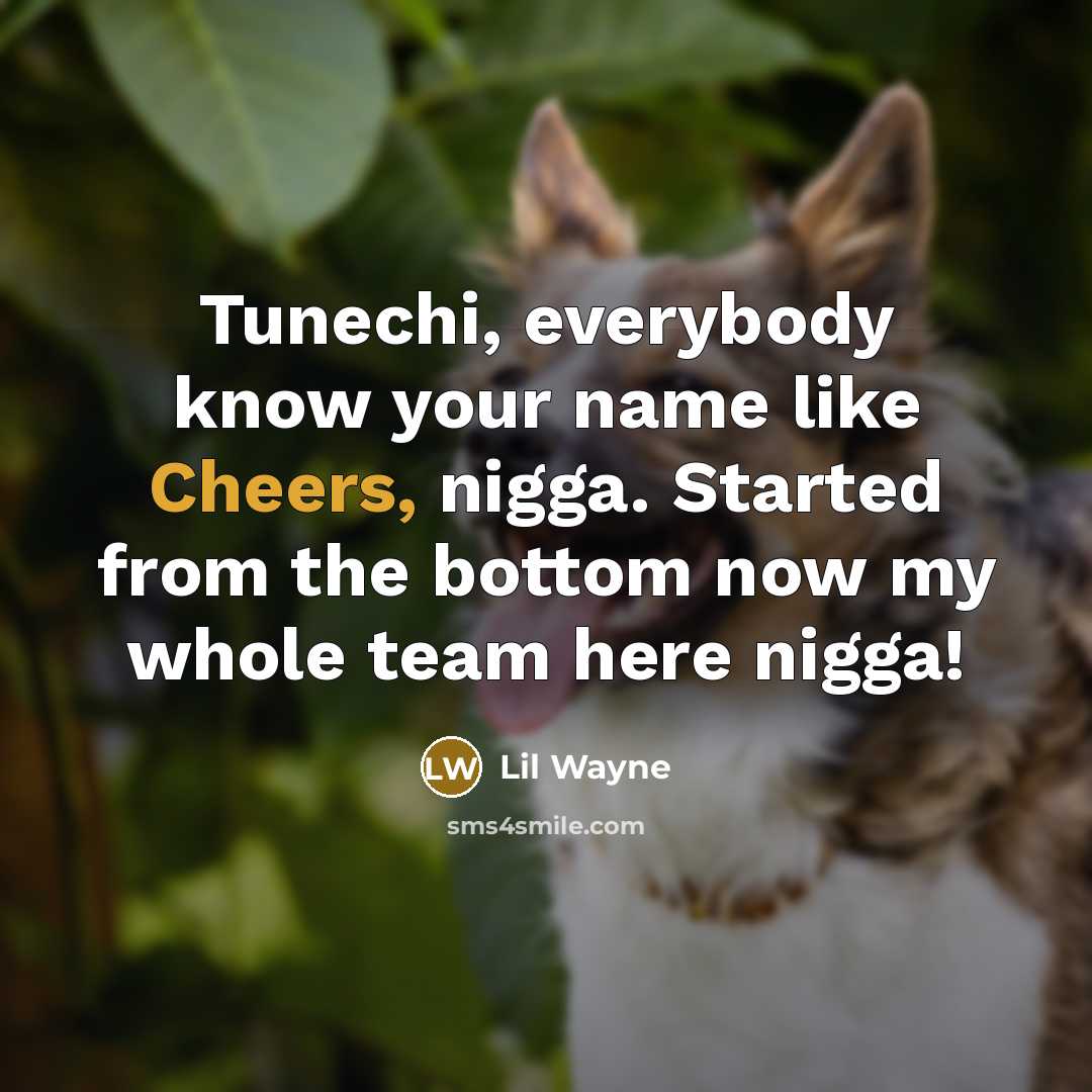 “Tunechi, everybody know your name like Cheers, nigga. Started from the bottom now my whole team here nigga!” quote by Lil Wayne