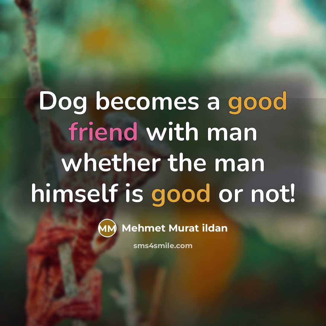 “Dog becomes a good friend with man whether the man himself is good or not!” quote by Mehmet Murat Ildan