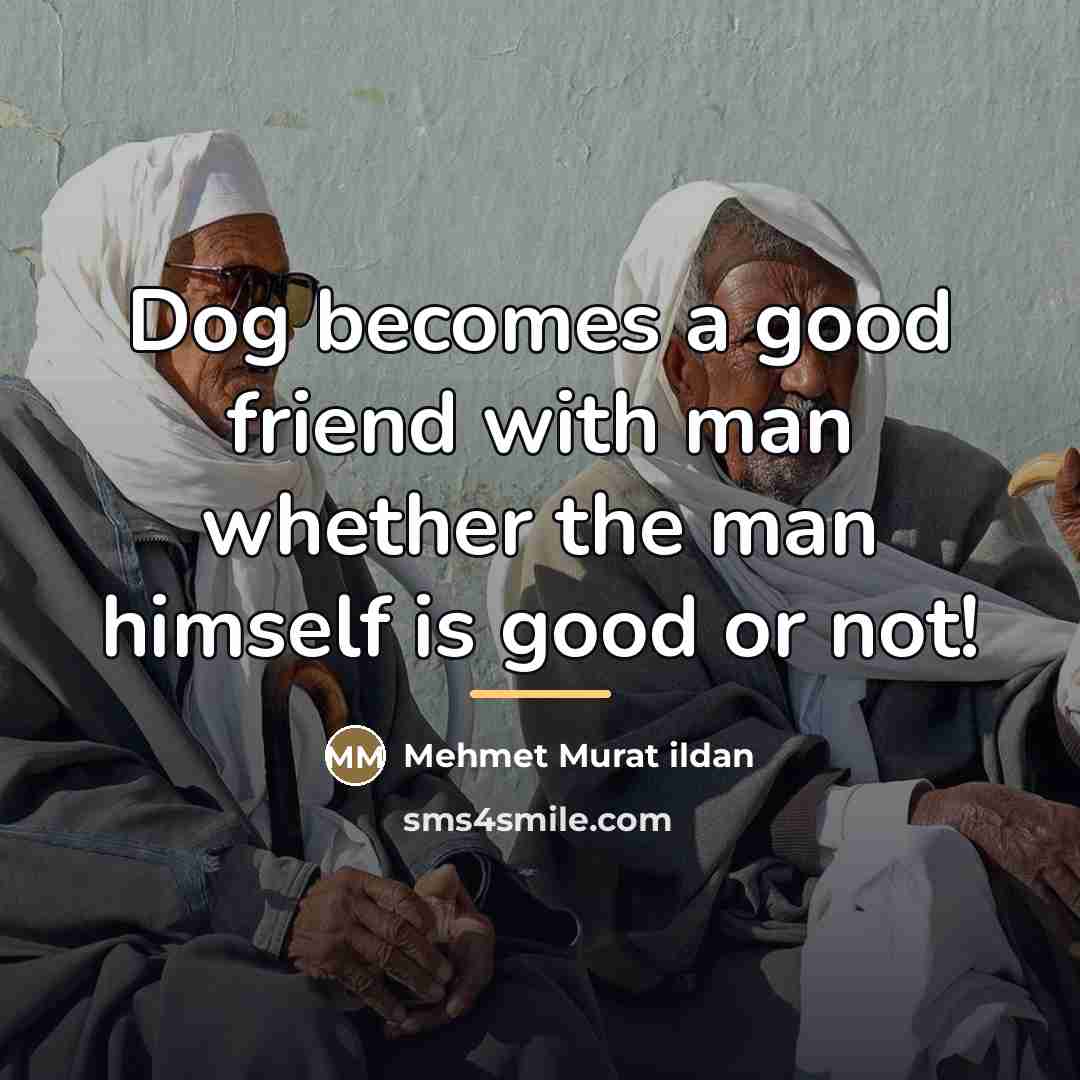 “Dog becomes a good friend with man whether the man…” quote by Mehmet Murat Ildan