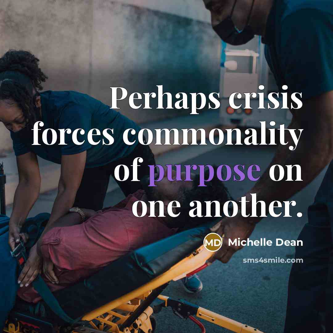 “Perhaps crisis forces commonality of purpose on one another.…” quote by Michelle Dean
