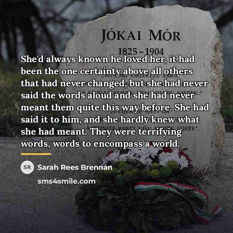 “She'd always known he loved her, it had been the…” quote by Sarah Rees Brennan