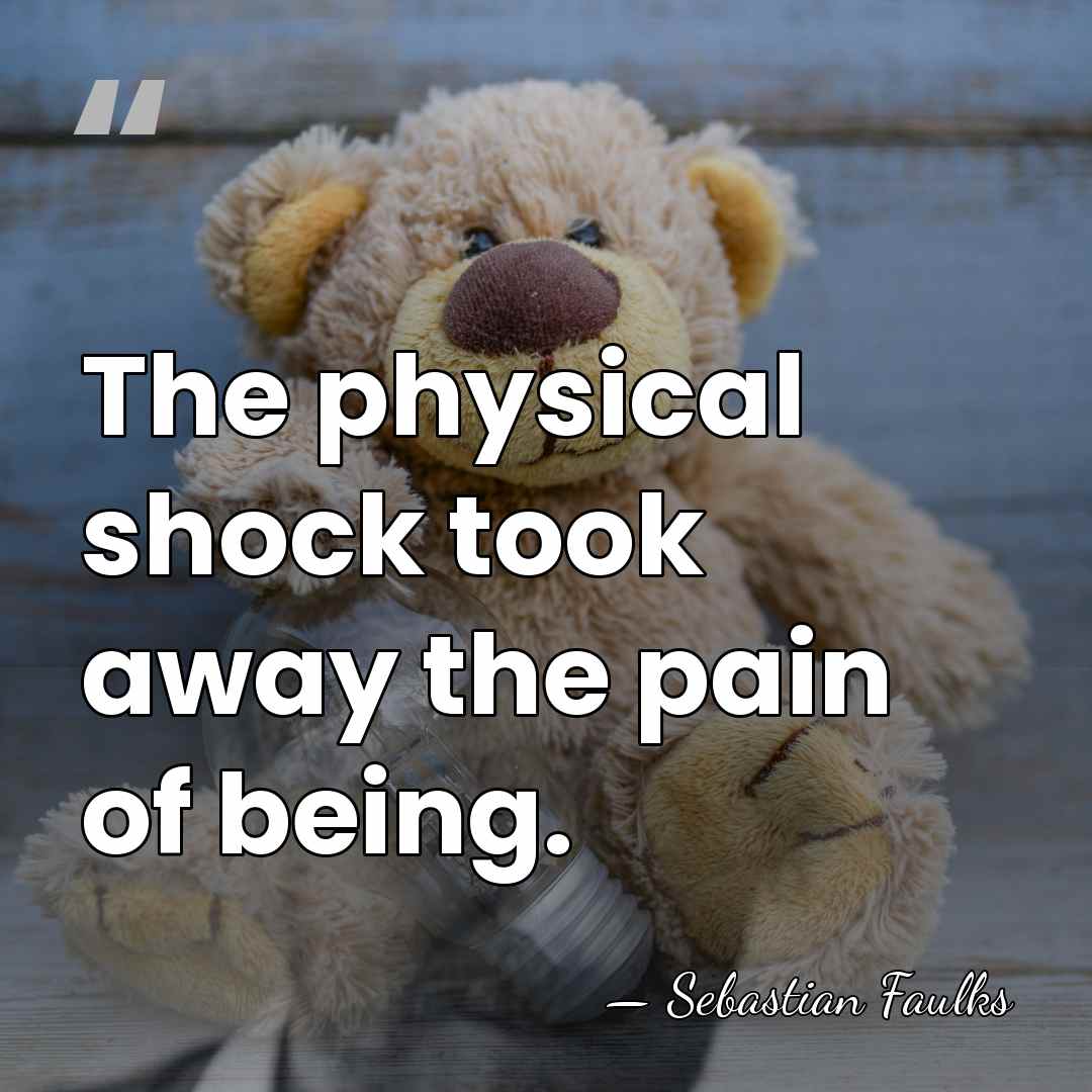 The physical shock took away the pain of being. - Sebastian Faulks